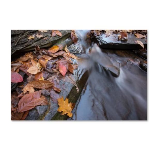 Jason Shaffer 'Chance Creek 1' Canvas Art, 22x32, Trademark Fine Art, Mfr#: JS0031-C2232GG